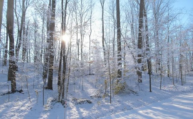 A Garfield Road, Paradise Twp, MI 49649