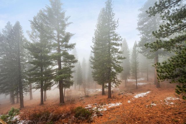 5085 Gold Bend, Truckee, CA 96161