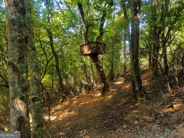 57 Yellow Rock Road, Cleveland, GA 30528