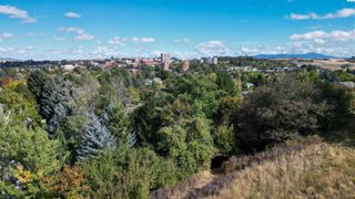 620 SE Crestview Dr, Pullman, WA 99163
