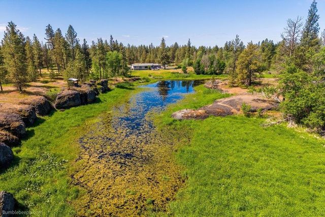 21517 W Cameron Rd, Cheney, WA 99004