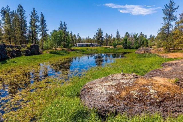 21517 W Cameron Rd, Cheney, WA 99004