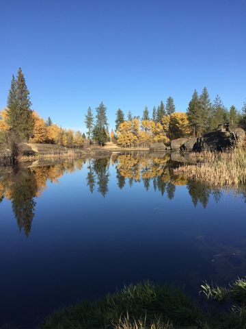 21517 W Cameron Rd, Cheney, WA 99004