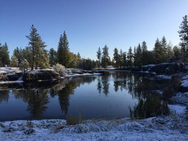 21517 W Cameron Rd, Cheney, WA 99004
