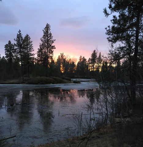 21517 W Cameron Rd, Cheney, WA 99004