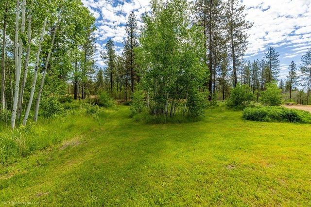 21517 W Cameron Rd, Cheney, WA 99004