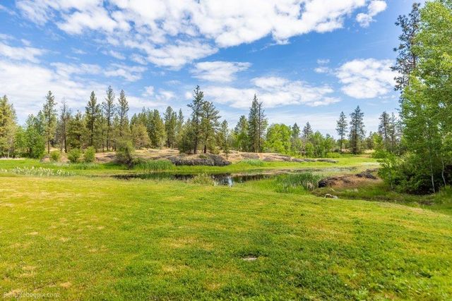21517 W Cameron Rd, Cheney, WA 99004