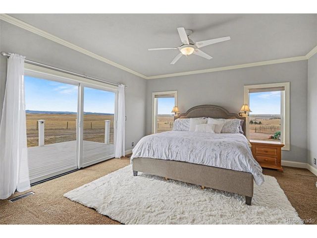10563 Lucas Ave, Franktown, CO 80116