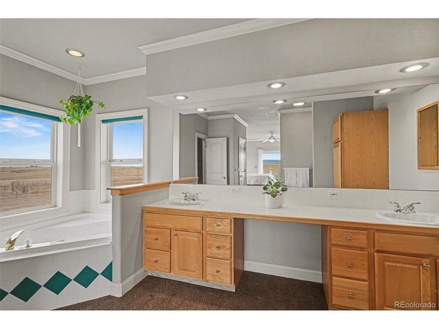 10563 Lucas Ave, Franktown, CO 80116