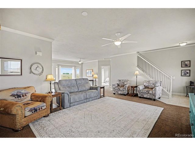 10563 Lucas Ave, Franktown, CO 80116