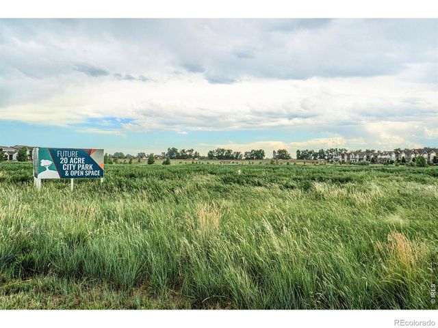 304 Tigercat Way, Fort Collins, CO 80524