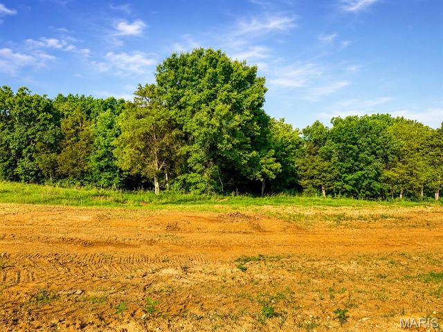 217 Fiddler's Close Road 217 STB Phase V, Washington, MO 63090