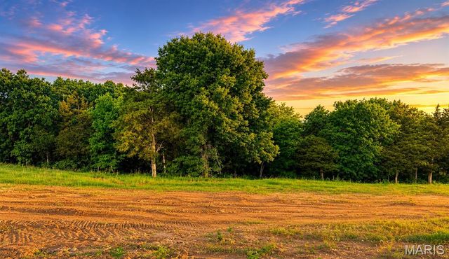 217 Fiddler's Close Road 217 STB Phase V, Washington, MO 63090