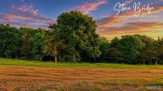 217 Fiddler's Close Road 217 STB Phase V, Washington, MO 63090