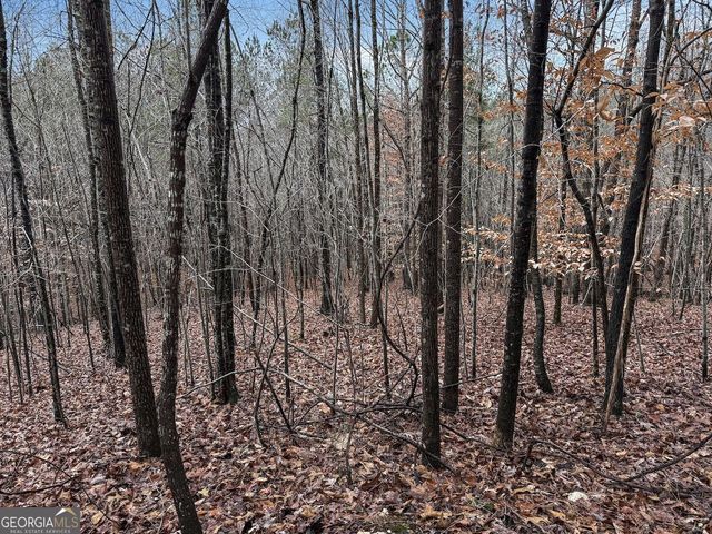 77 Observation Way, Dallas, GA 30132