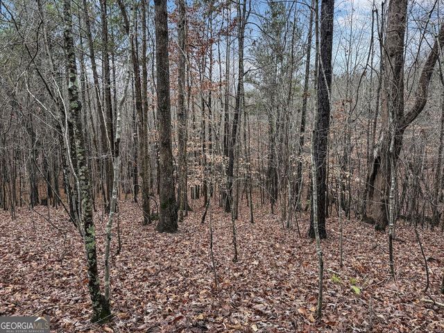 77 Observation Way, Dallas, GA 30132