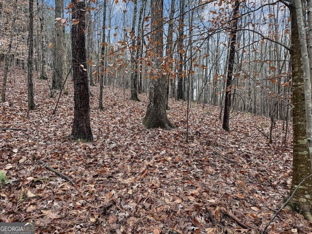 77 Observation Way, Dallas, GA 30132