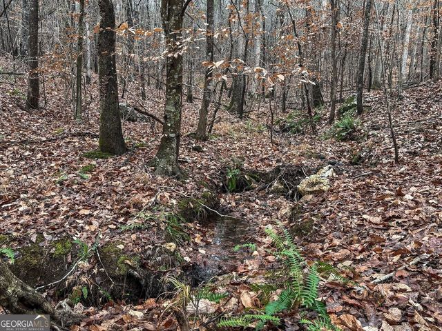 77 Observation Way, Dallas, GA 30132