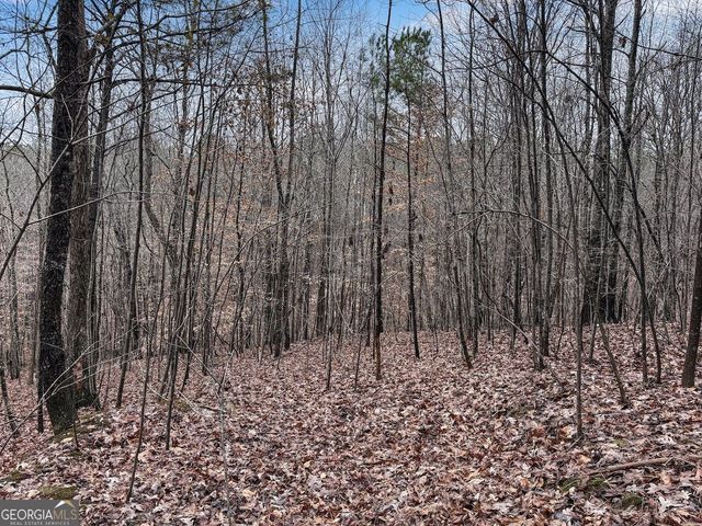 77 Observation Way, Dallas, GA 30132