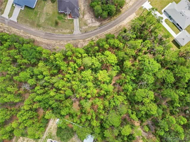 8726 N Ronda Drive, Dunnellon, FL 34433