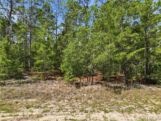 8726 N Ronda Drive, Dunnellon, FL 34433