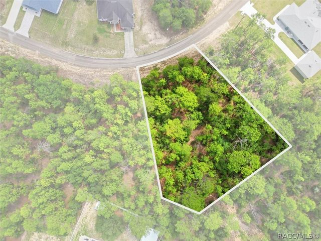 8726 N Ronda Drive, Dunnellon, FL 34433