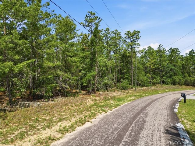 8726 N Ronda Drive, Dunnellon, FL 34433