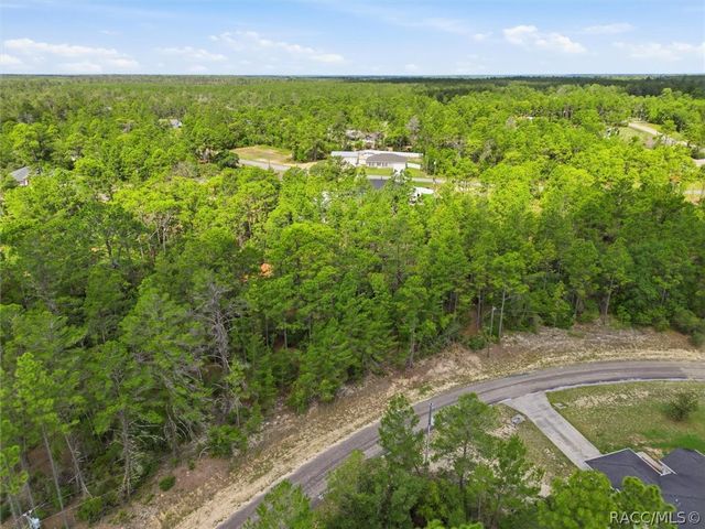 8726 N Ronda Drive, Dunnellon, FL 34433