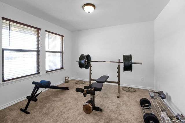 523 Muscari, San Antonio, TX 78245