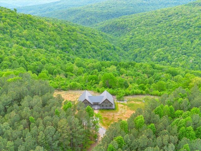 315 Morris Point Lane, South Pittsburg, TN 37380