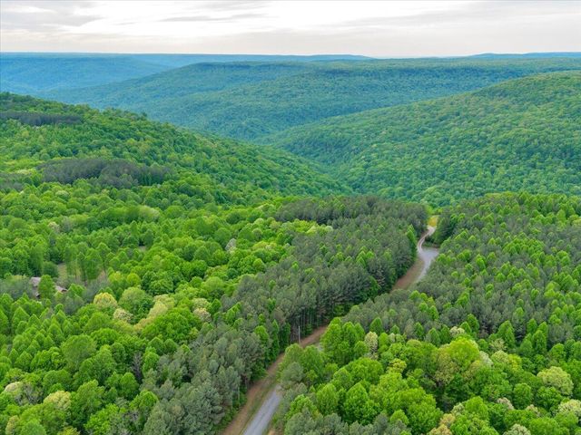 315 Morris Point Lane, South Pittsburg, TN 37380