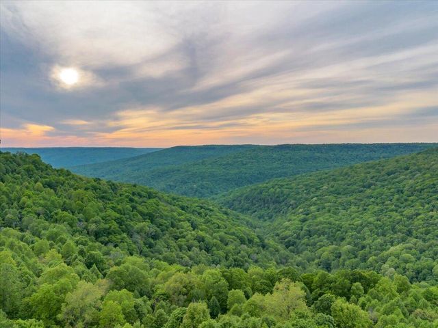 315 Morris Point Lane, South Pittsburg, TN 37380