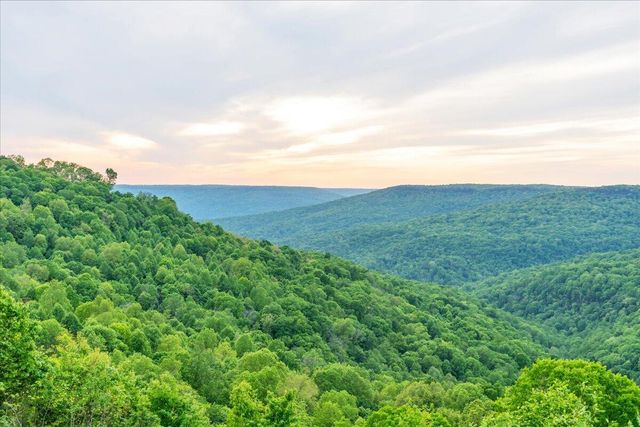315 Morris Point Lane, South Pittsburg, TN 37380