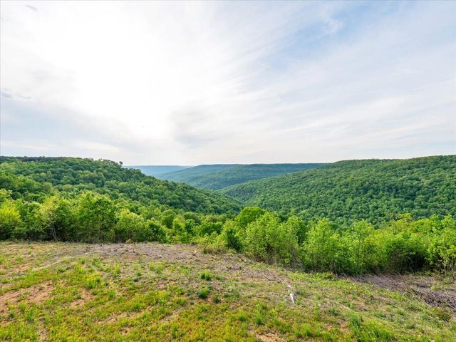 315 Morris Point Lane, South Pittsburg, TN 37380