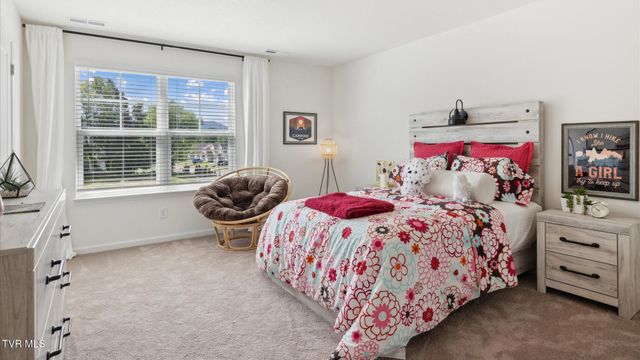 253 Wisteria Drive, Bluff City, TN 37618