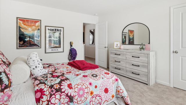 253 Wisteria Drive, Bluff City, TN 37618