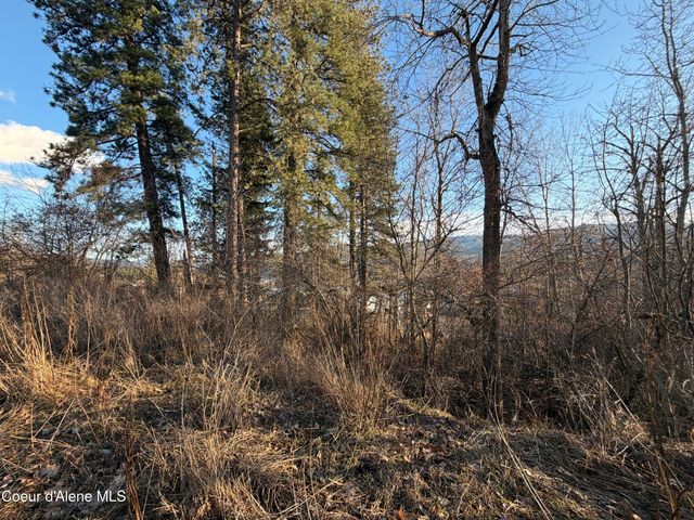 Lot 5 & 6 Highway 2, Priest River, ID 83856