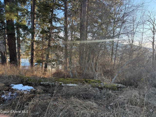 Lot 5 & 6 Highway 2, Priest River, ID 83856