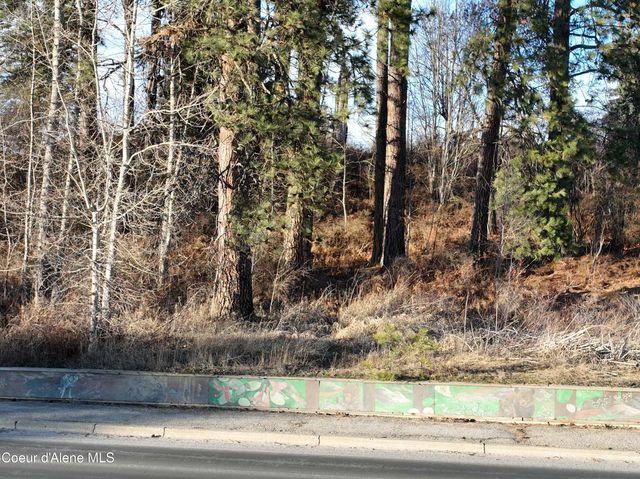 Lot 5 & 6 Highway 2, Priest River, ID 83856