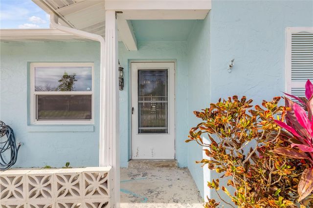 26 LAUGHING GULL LANE, Edgewater, FL 32141