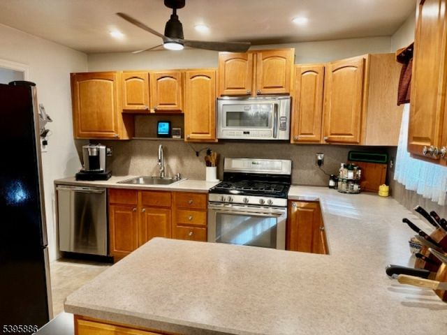 36 Deer Path Dr, Mount Olive Twp., NJ 07836