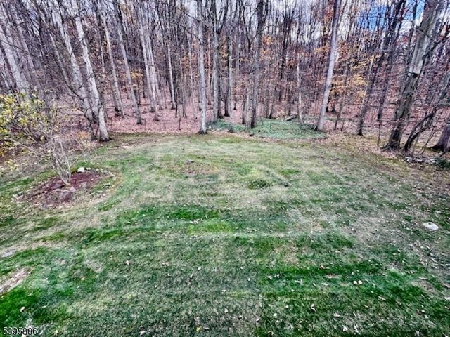 36 Deer Path Dr, Mount Olive Twp., NJ 07836