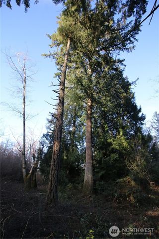 0 91st Ave SW, Vashon, WA 98070