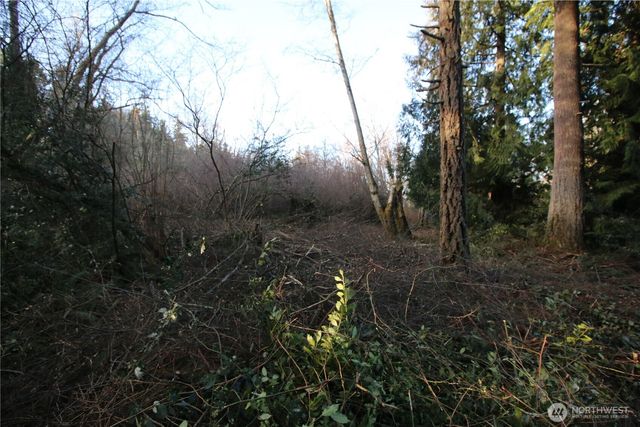 0 91st Ave SW, Vashon, WA 98070