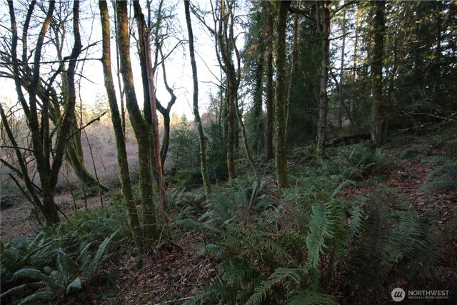 0 91st Ave SW, Vashon, WA 98070