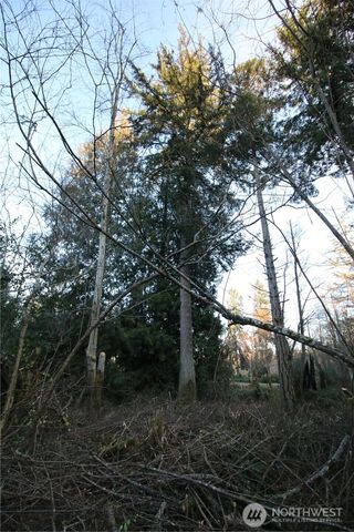 0 91st Ave SW, Vashon, WA 98070