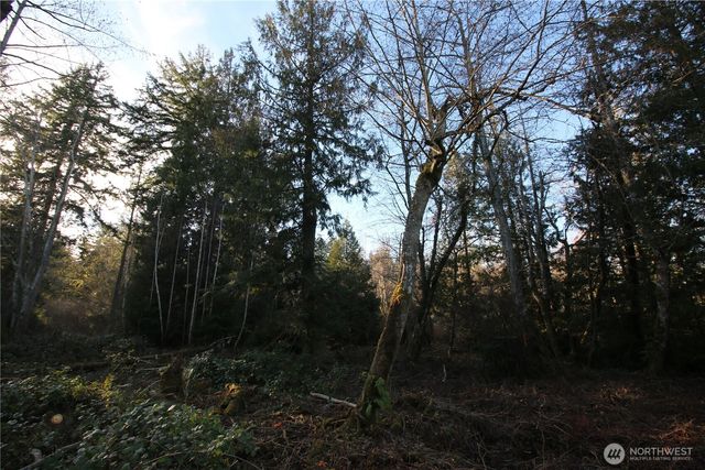 0 91st Ave SW, Vashon, WA 98070