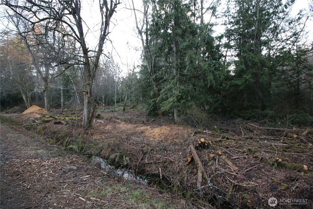 0 91st Ave SW, Vashon, WA 98070
