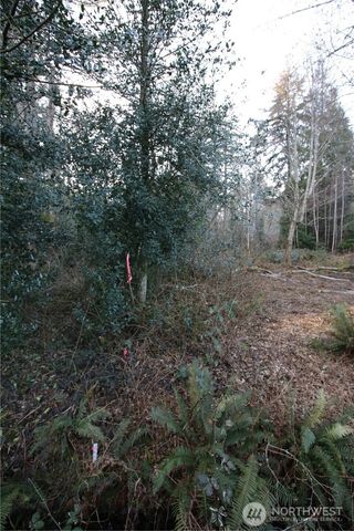 0 91st Ave SW, Vashon, WA 98070