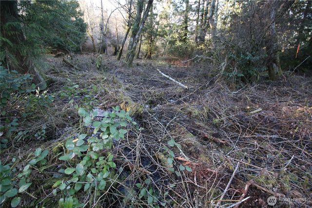 0 91st Ave SW, Vashon, WA 98070